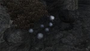 1024px-Violetter Lacktrichterling.jpg