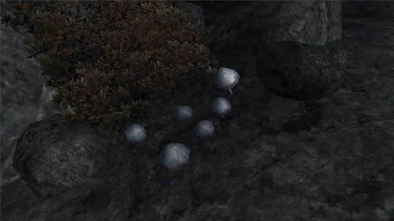 Datei:1024px-Violetter Lacktrichterling.jpg