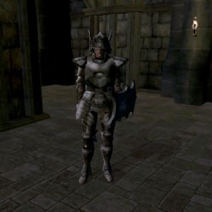 MA-npc-Paladin Caleris.jpg