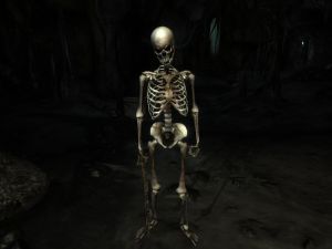 800px-NE-creature-Skelett.jpg