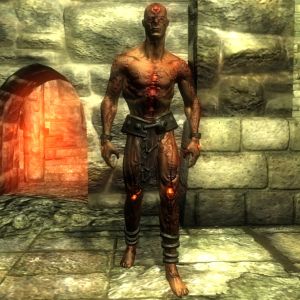 NE-mod-Nehrim Expanded-creature-Der untote Fleischberg.jpg