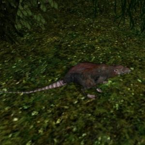 375px-AR-creature-Ratte.jpg