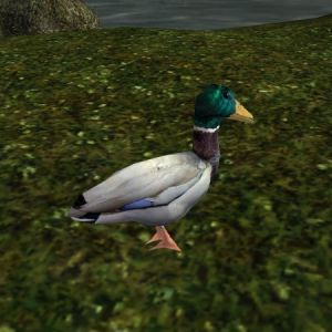 AR-creature-Ente.jpg