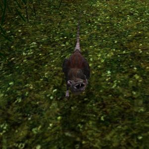 AR-creature-Ratte 02.jpg
