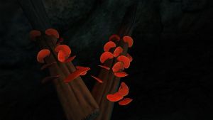 800px-Roter Porling.jpg