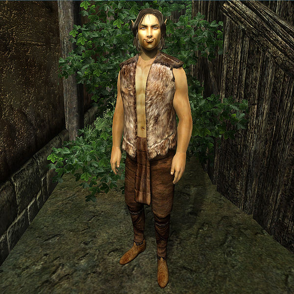 Datei:NE-npc-Kim (maennlich).jpg