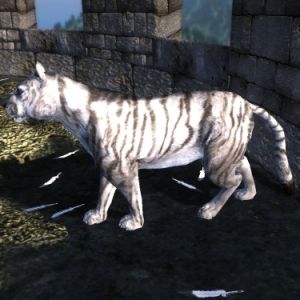 375px-NE-mod-Nehrim Expanded-creature-Schlaechterins Schmusekatze.jpg