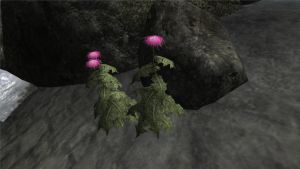 1600px-Milchdistel frisch.jpg