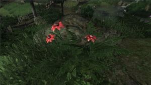 20251122201252!Erothin Bluete.jpg