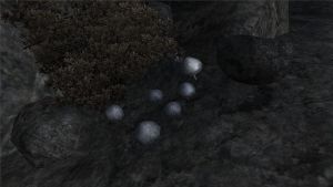 1280px-Violetter Lacktrichterling.jpg