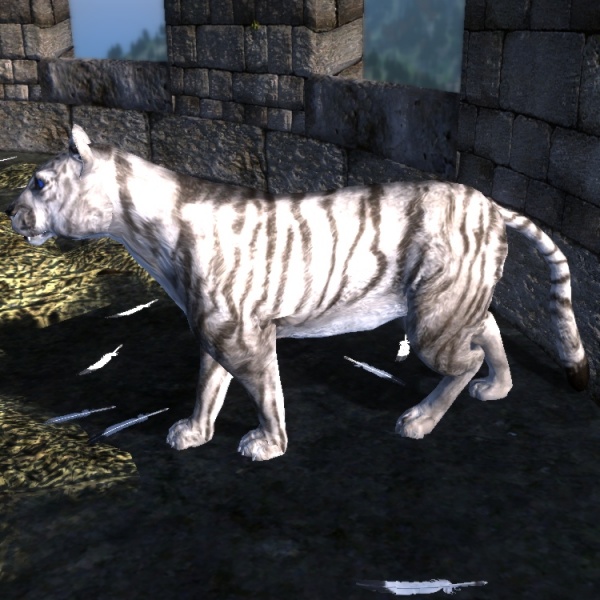 Datei:NE-mod-Nehrim Expanded-creature-Schlaechterins Schmusekatze.jpg