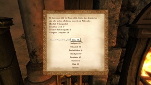 lDas Abenteuertagebuch, Menü 2