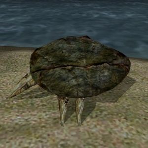 600px-AR-creature-Schlammkrabbe.jpg