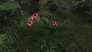 640px-Erothin Bluete.jpg