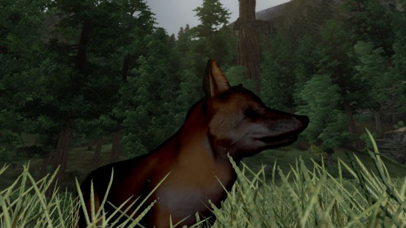 Datei:20131120215427!NE-mod-Nehrim Expanded-creature-Erkrankter Meister Reineke.jpg