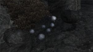 600px-Violetter Lacktrichterling.jpg