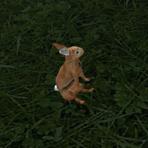 375px-MA-creature-Hase 02.jpg