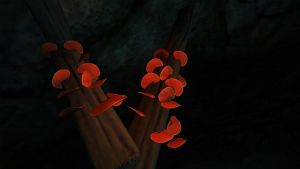 1280px-Roter Porling.jpg