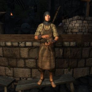 480px-NE-npc-Braal der Schmied.jpg