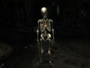 320px-NE-creature-Skelett.jpg