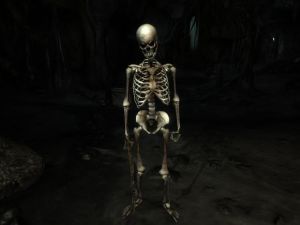 640px-NE-creature-Skelett.jpg