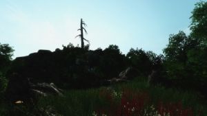 450px-Geheimnisse aus der Büchse 03.jpg