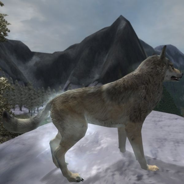 Datei:20131121003804!NE-mod-Nehrim Expanded-creature-Frostbeisser.jpg