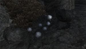 800px-Violetter Lacktrichterling.jpg